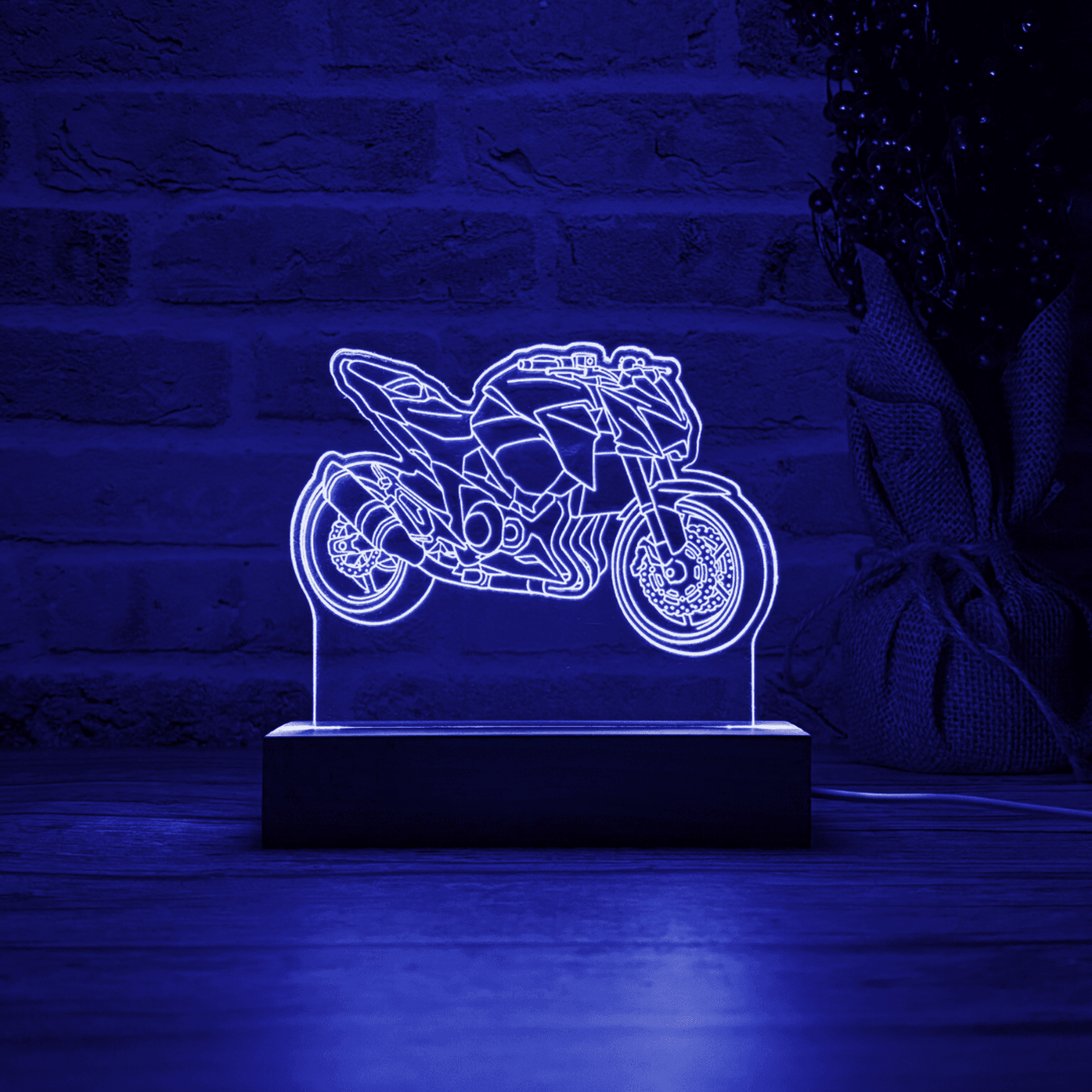 BLOOP-L Z800 2016 - 3