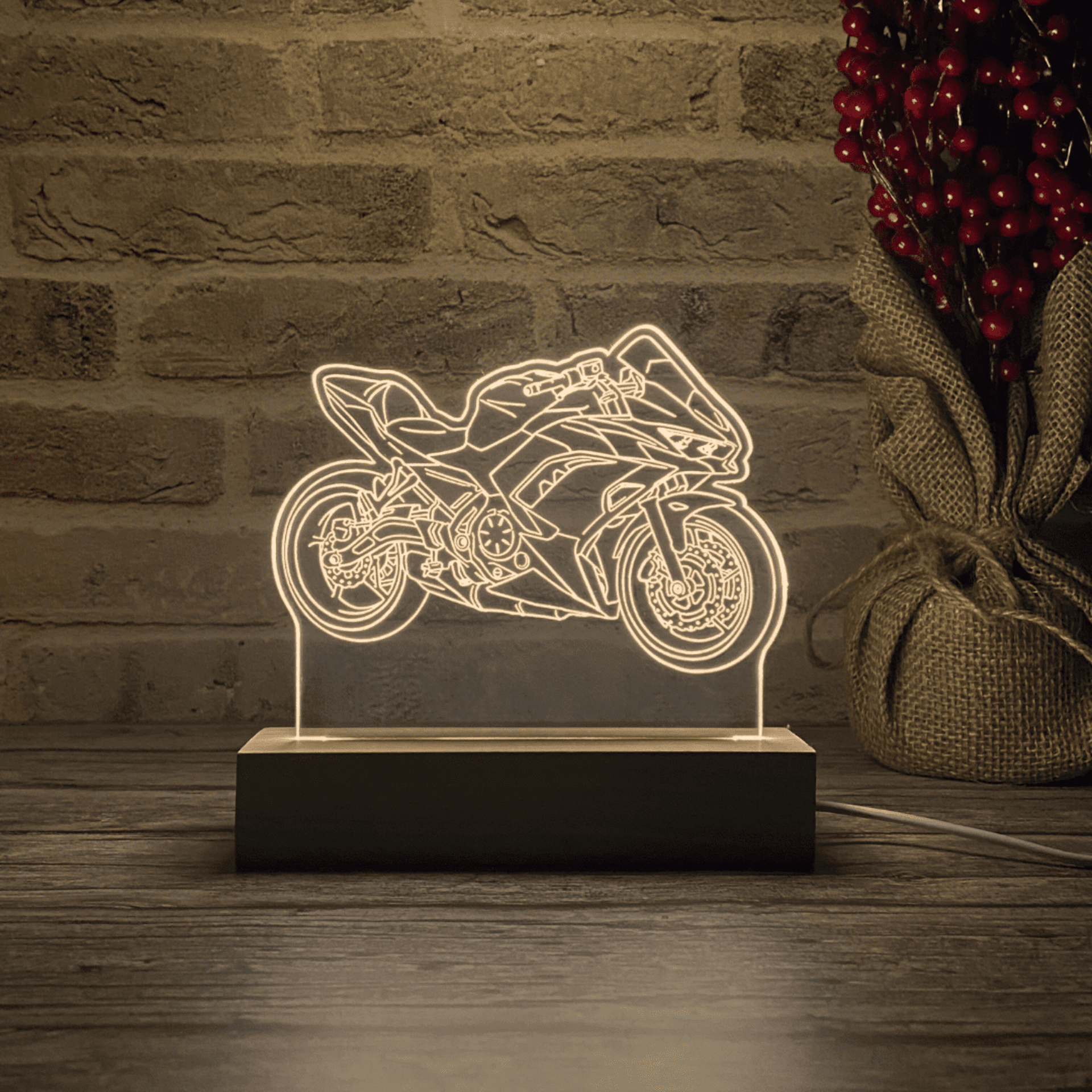BLOOP-L Ninja 650 2023 - 2