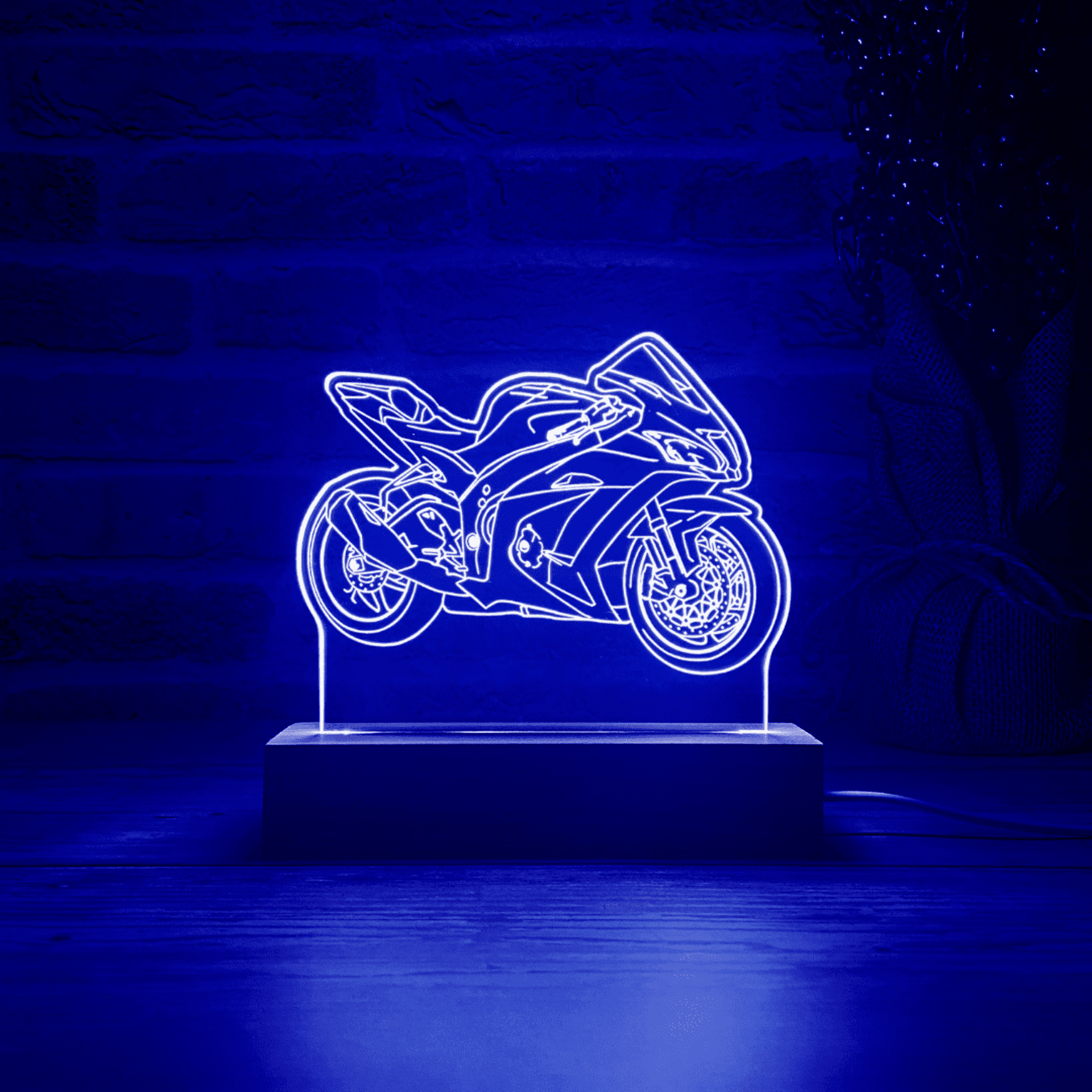 BLOOP-L ZX-10R 2019 - 3