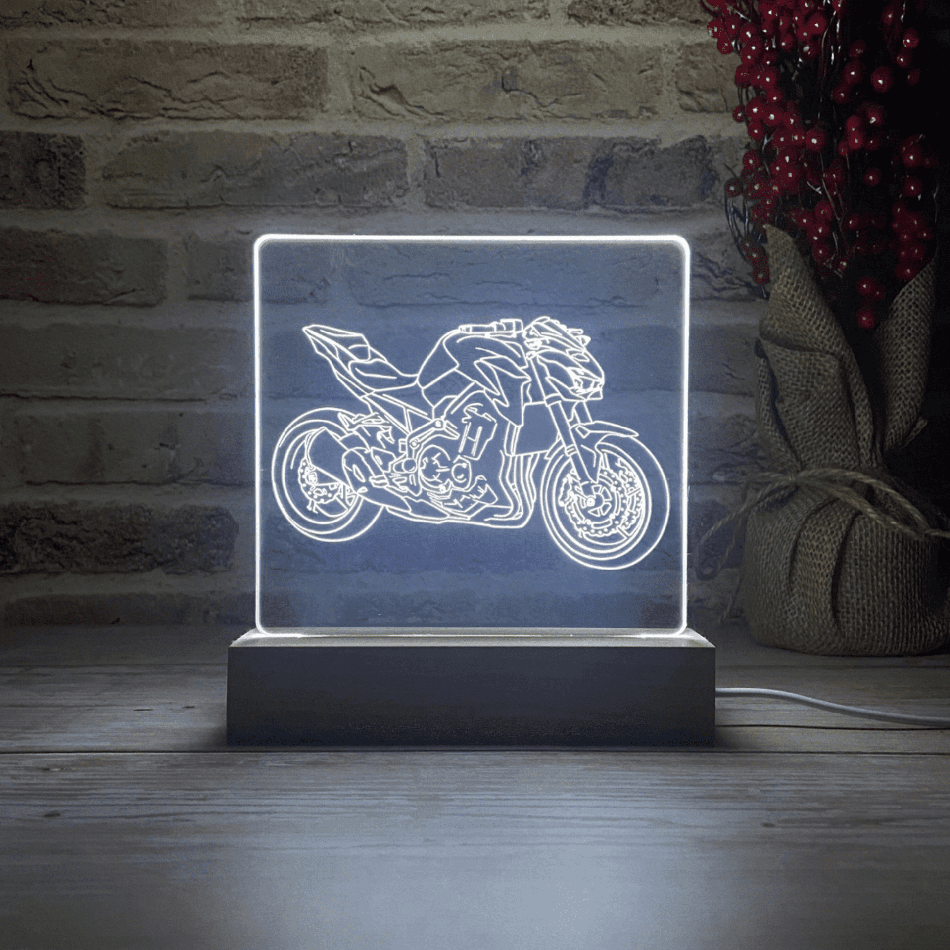 BLOOP-L Z900 2019 - 4