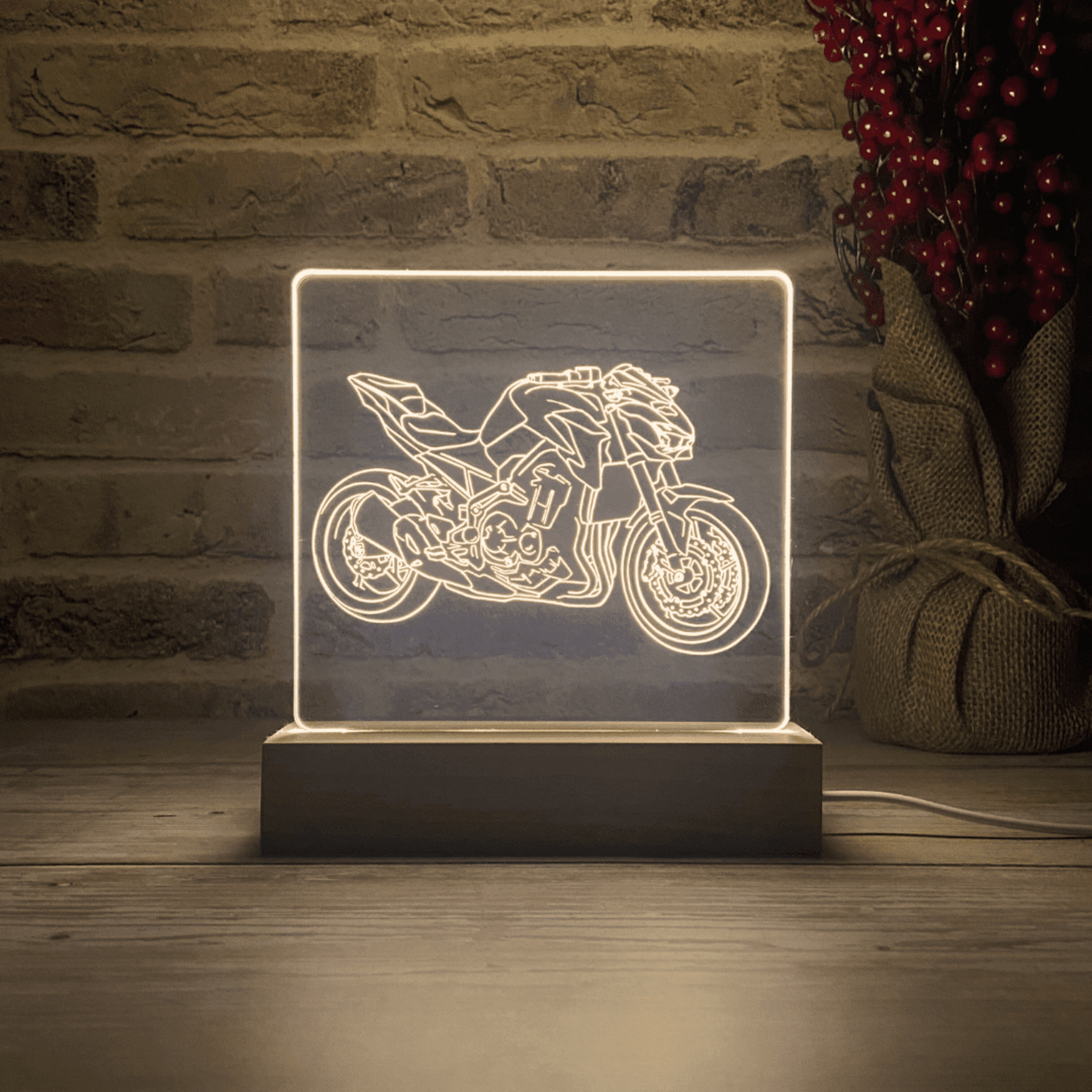 BLOOP-L Z900 2019 - 5