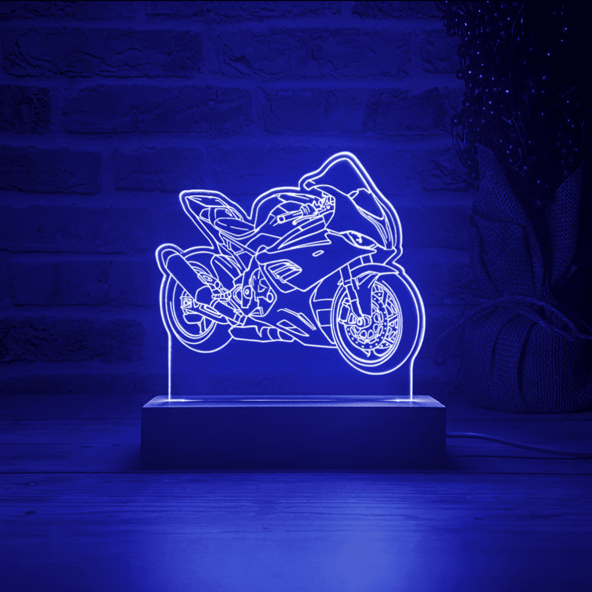 BLOOP-L S 1000 RR 2020 - 3