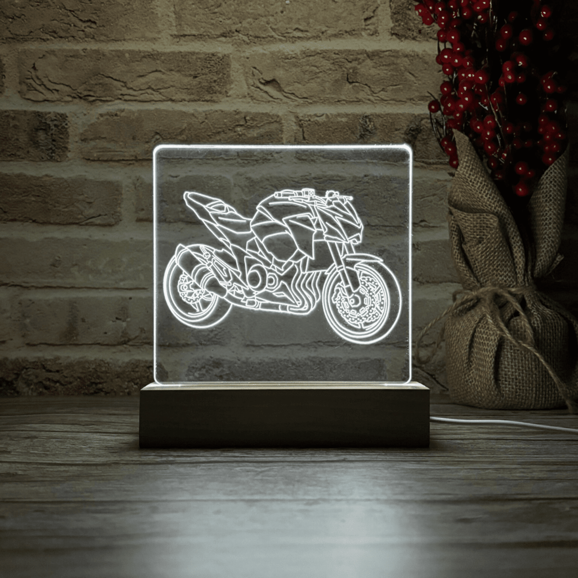 BLOOP-L Z800 2016 - 4