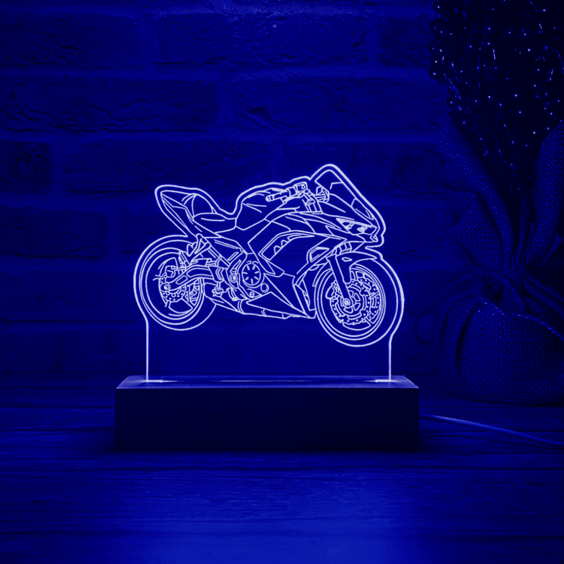 BLOOP-L Ninja 650 2023 - 3