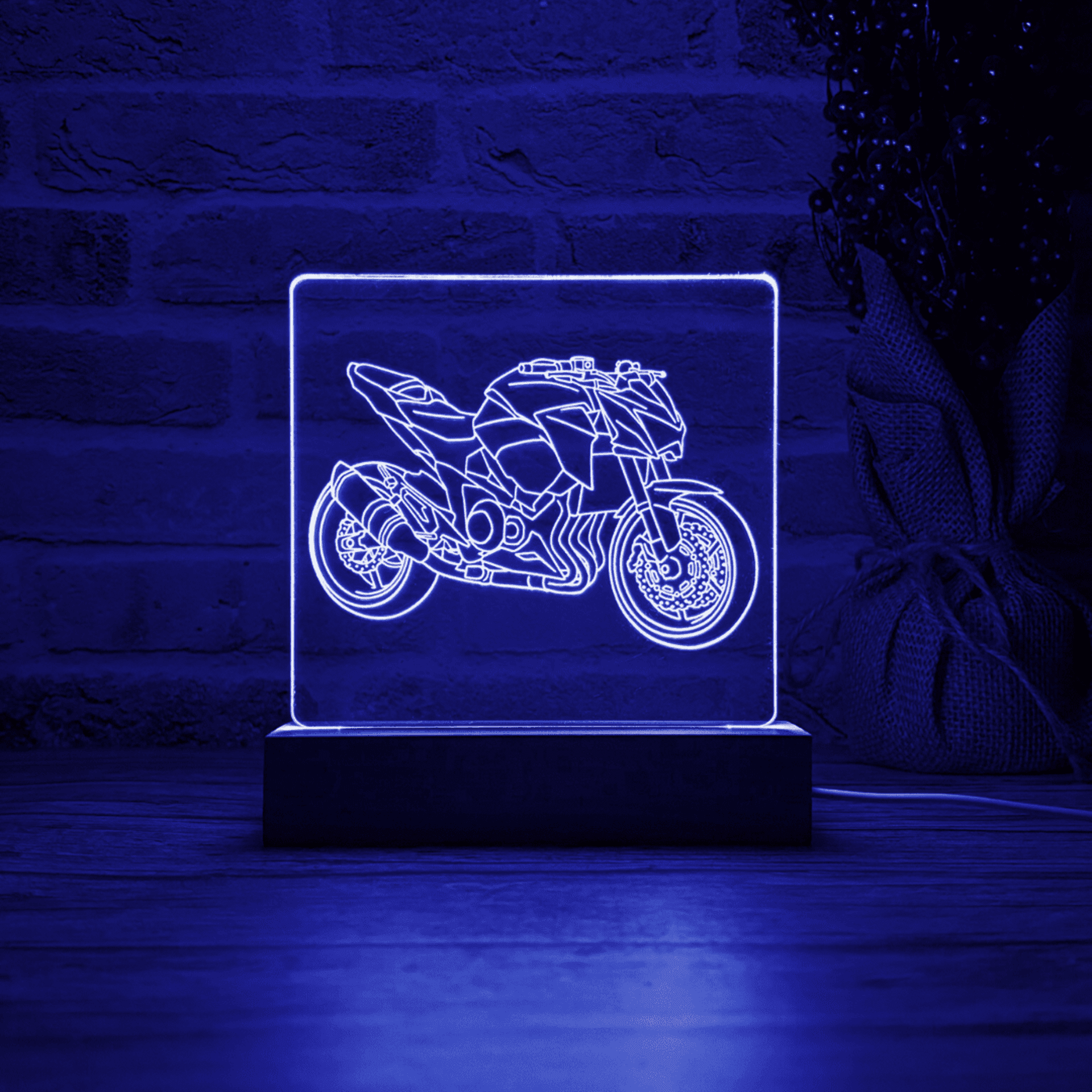 BLOOP-L Z800 2016 - 6