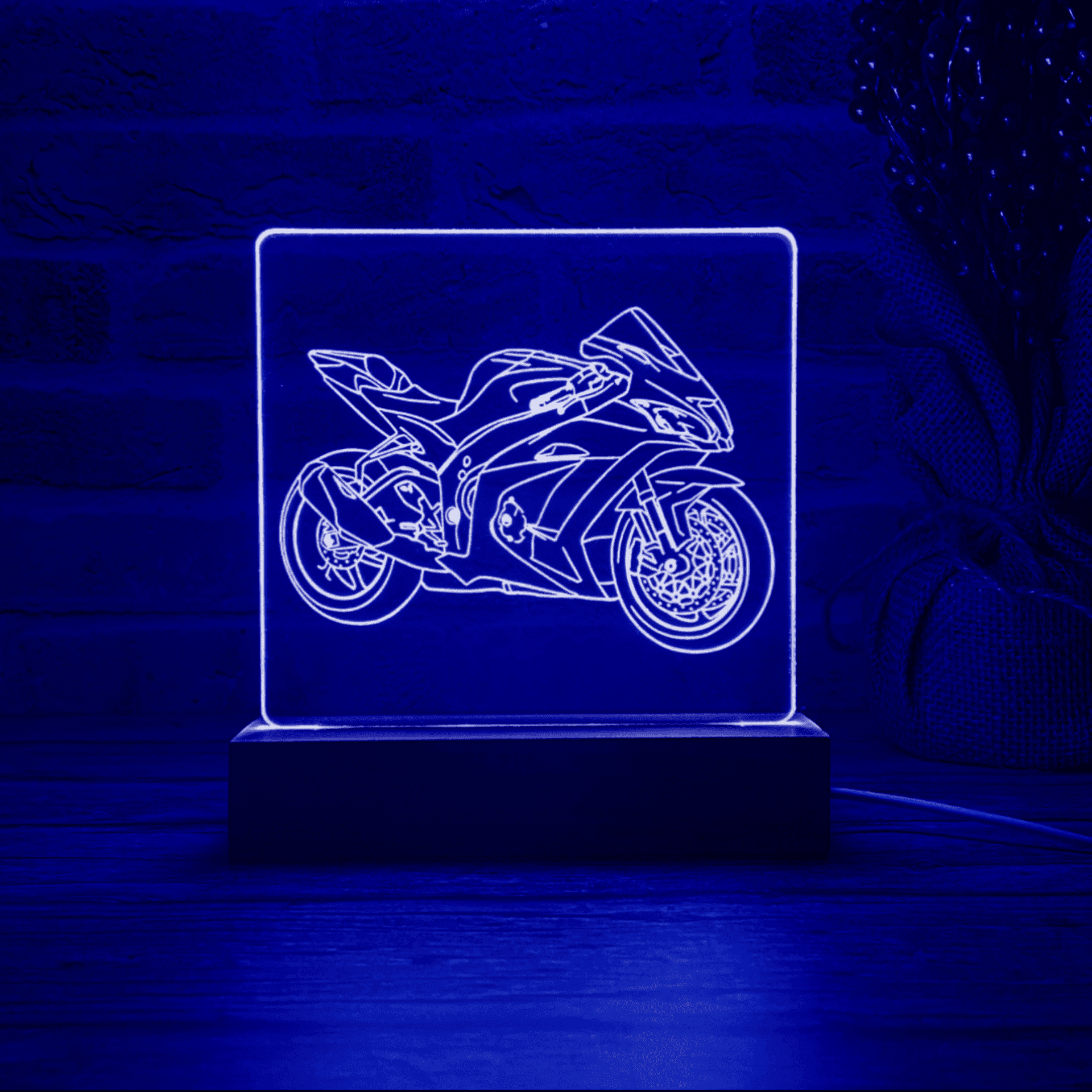 BLOOP-L ZX-10R 2019 - 6