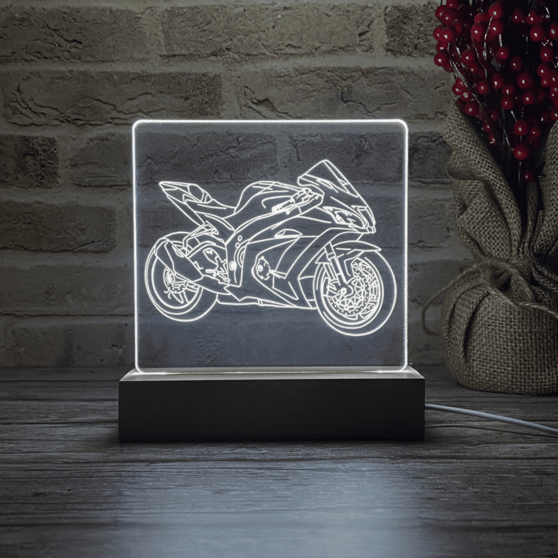 BLOOP-L ZX-10R 2019 - 4