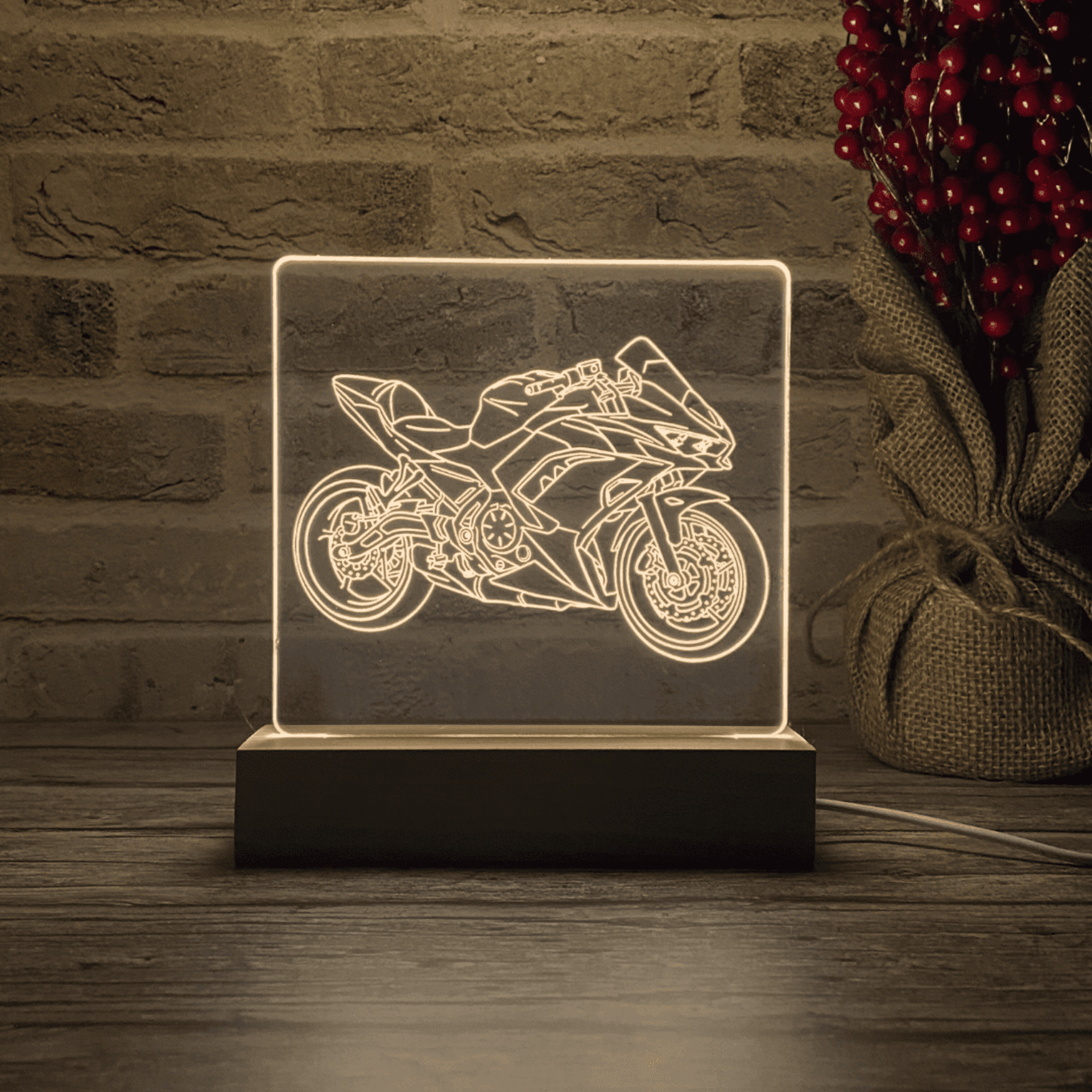 BLOOP-L Ninja 650 2023 - 5