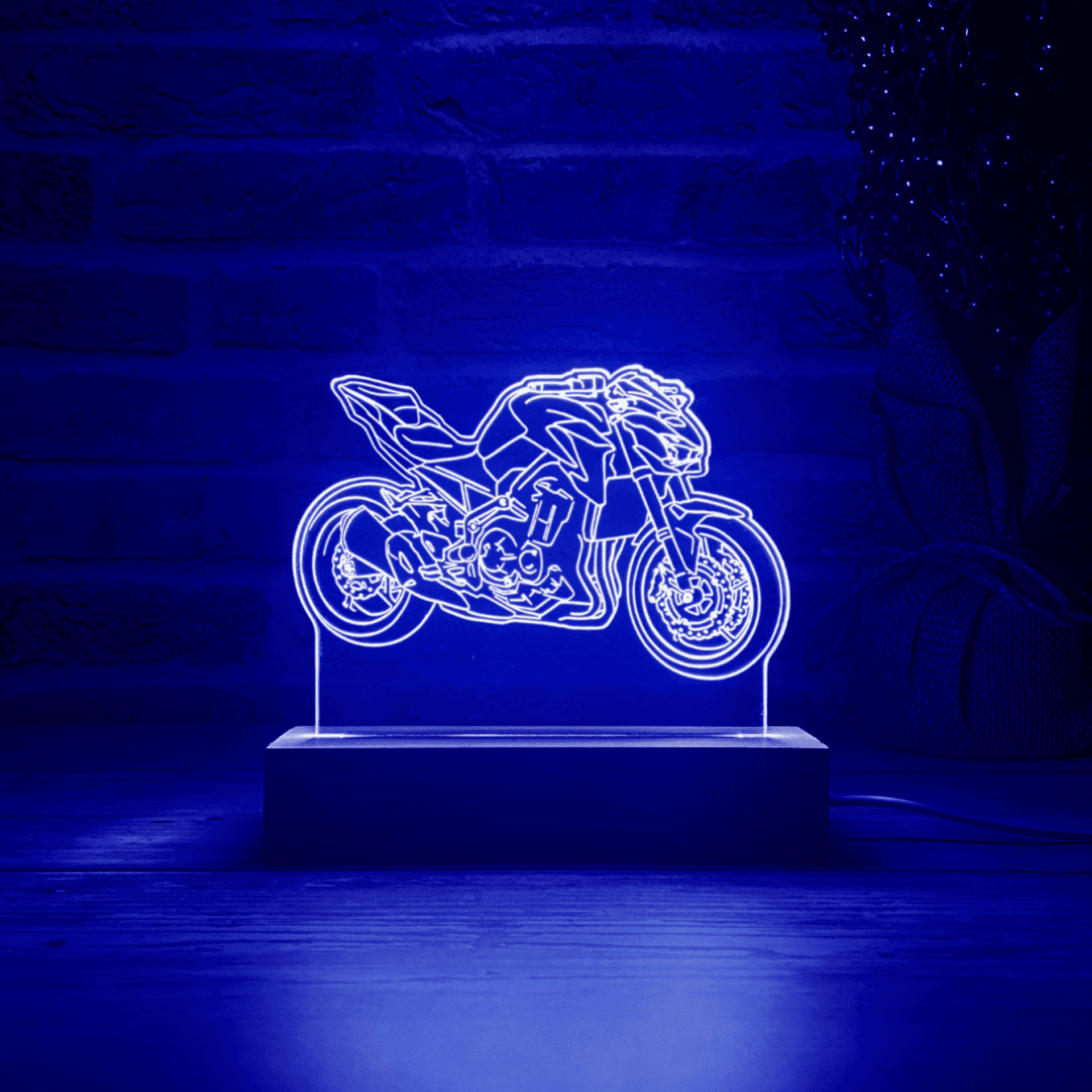 BLOOP-L Z900 2019 - 3