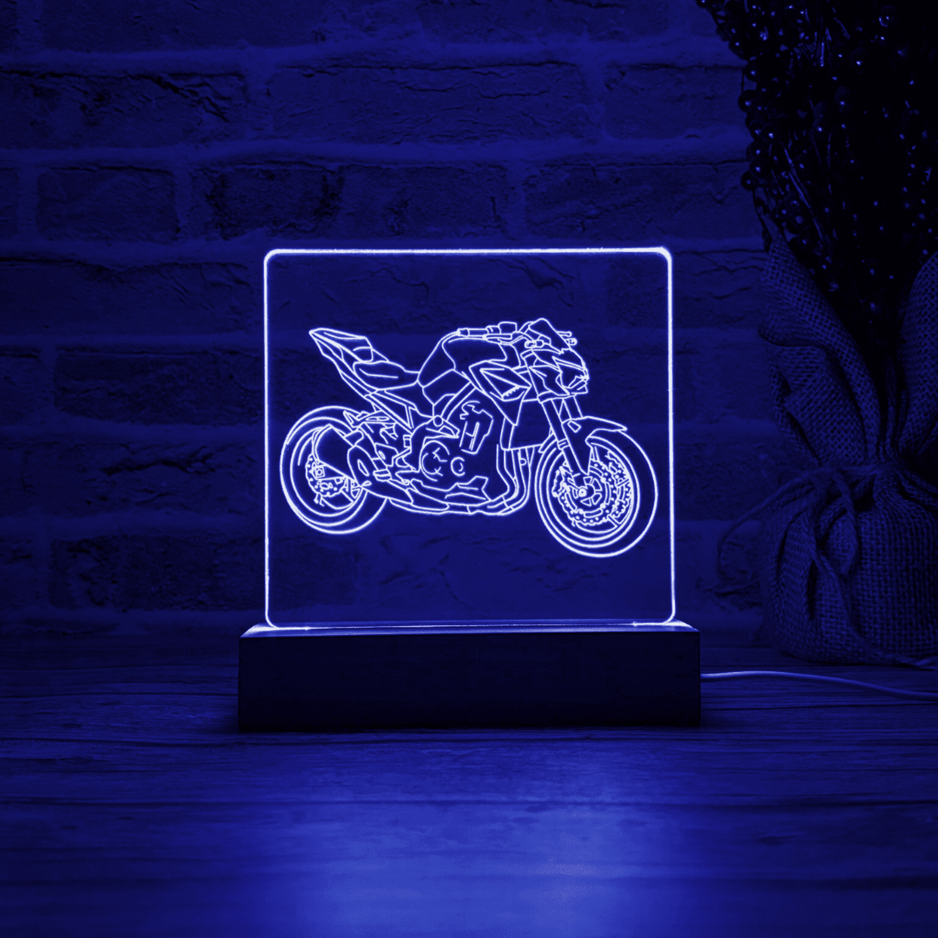 BLOOP-L Z900 2022 - 6