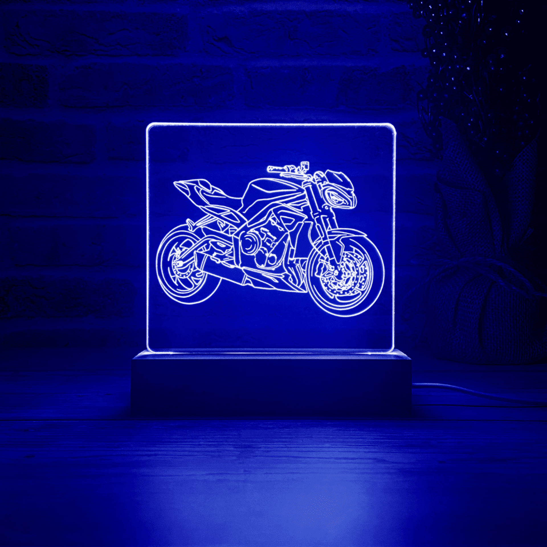 BLOOP-L Street Triple RS 2020 - 6