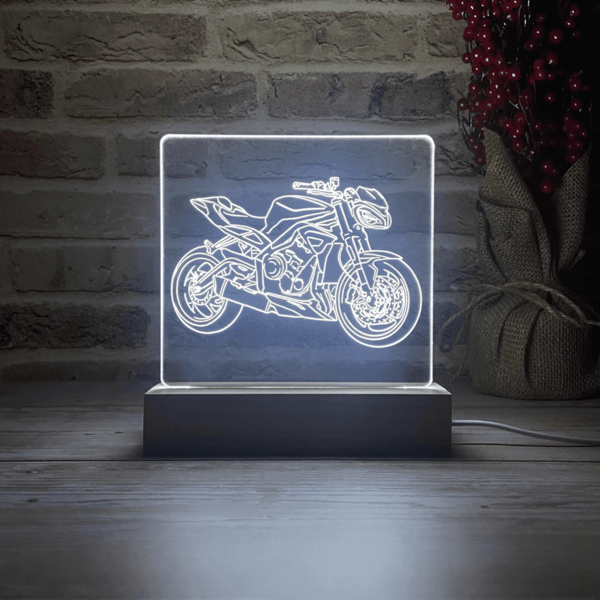 BLOOP-L Street Triple RS 2020 - 4
