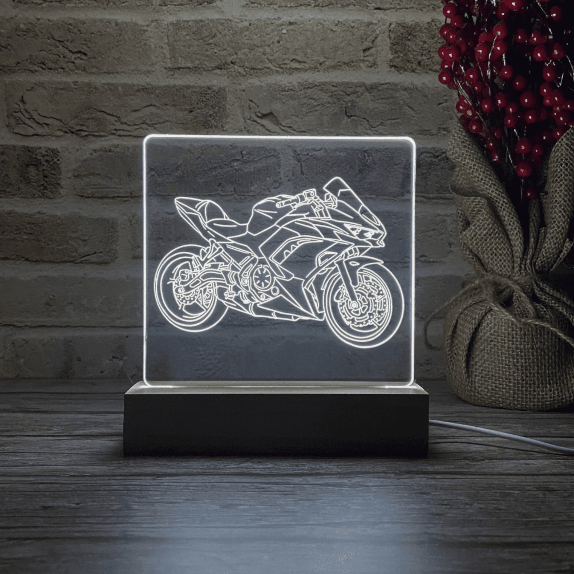 BLOOP-L Ninja 650 2023 - 4