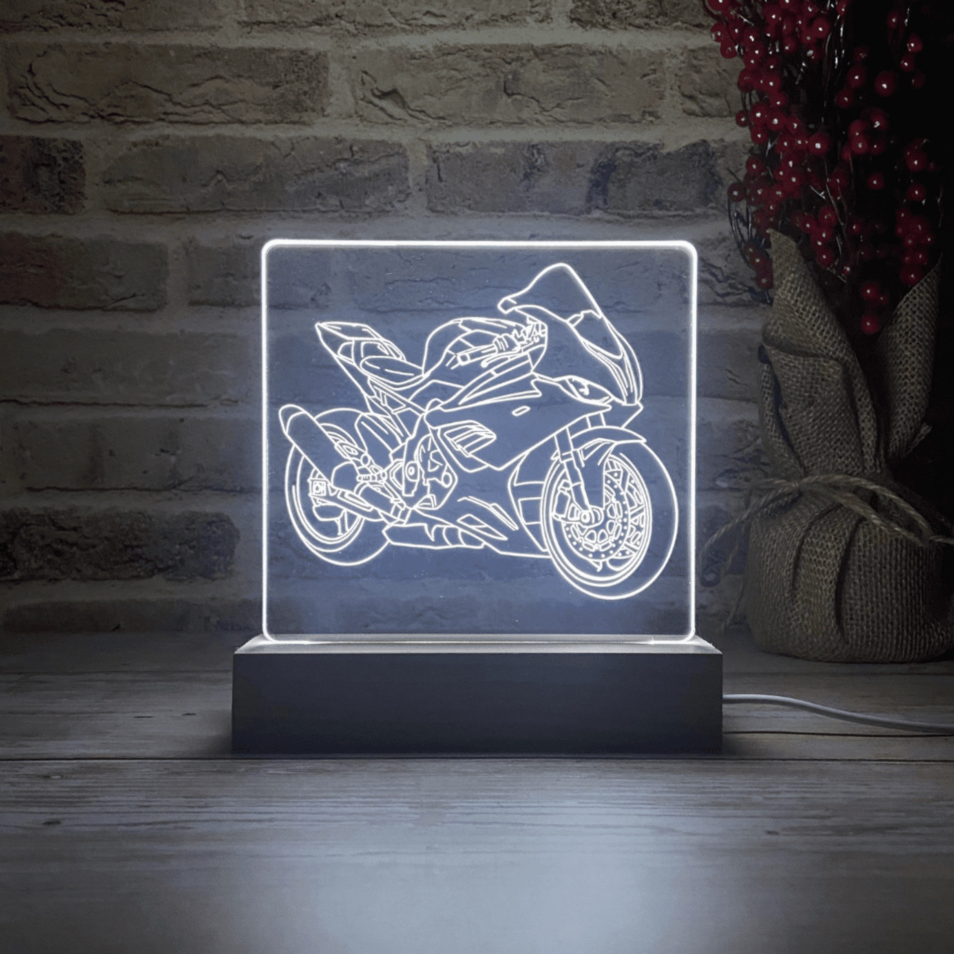 BLOOP-L S 1000 RR 2020 - 4